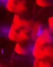 2022-10_-_Tiffany_Tremaine_2_mp40247.jpg