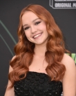 2019-02-12_283029.jpg