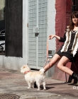 2012-03-25_2810229.jpg